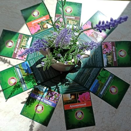 Lavender Apartment Heviz Bagian luar foto
